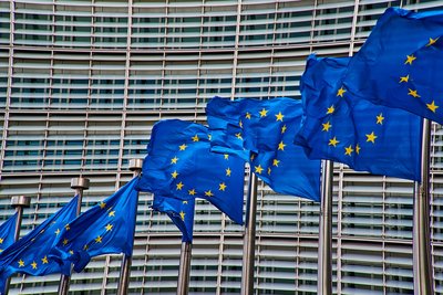 Evropské komisi skupinové oznamovací systémy nestačí