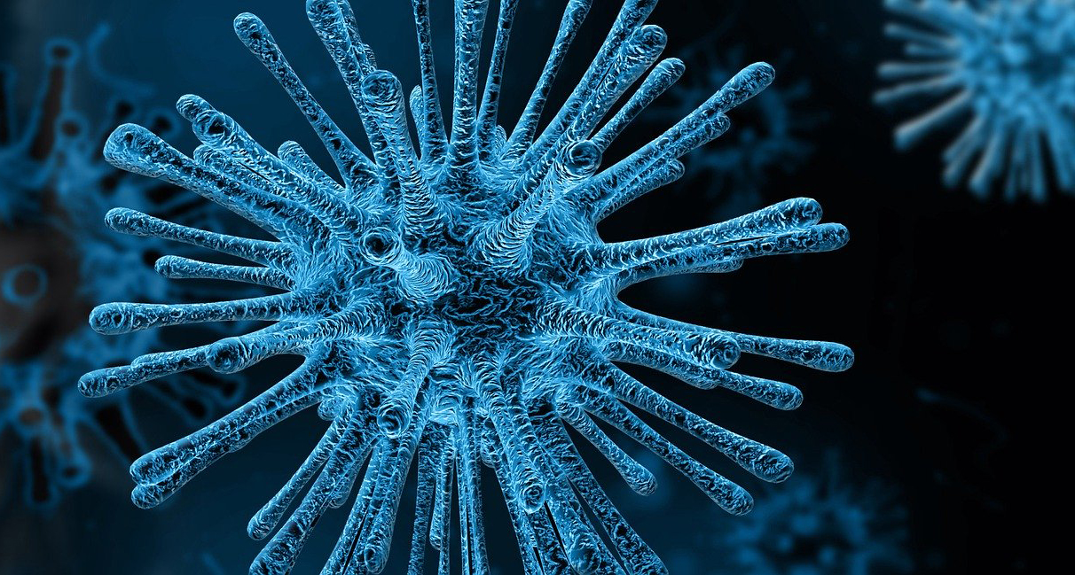Coronavirus