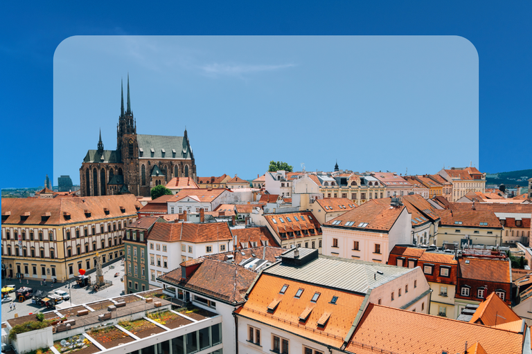 Web Zásady Brno (1200 x 800 px)